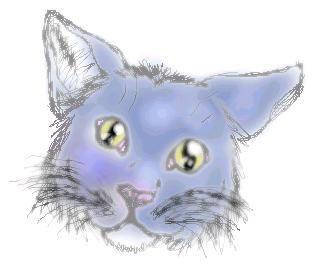 It'sa kitty!